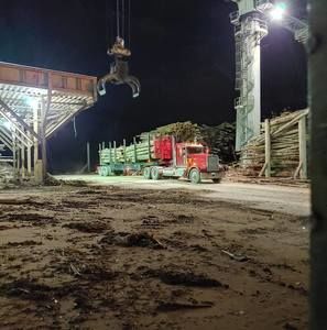 Meet your Posher, Ronnie